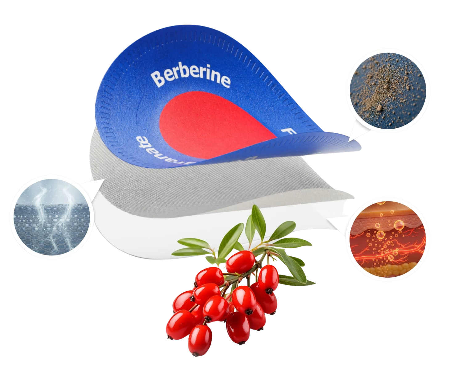 Purisaki Berberine bottle